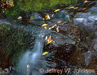 Stream Detail 1