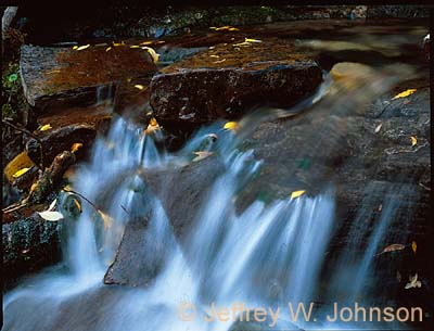 Stream Detail 2