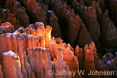 Bryce Glowing Hoodoos N