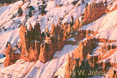 Bryce Sunrise Point Detail