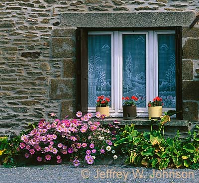 FR Window Flowers 2