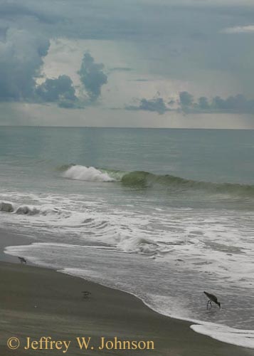 Stormy Surf with Birds 1062