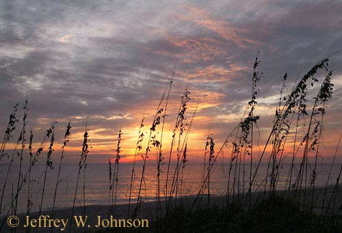 Sunset 1184