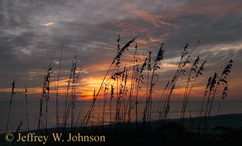 Sunset and Sea Oats 1182