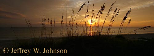 Sunset and Sea Oats Pan 1165