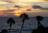 Sunset 1003