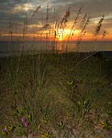 Sunset 1173