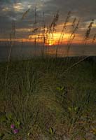 Sunset 1176