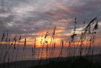 Sunset 1184
