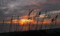 Sunset and Sea Oats 1182