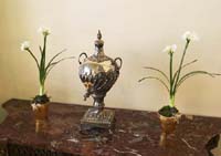 Urn and Flowers1114