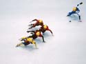 Short Track Ono Gold Rescan