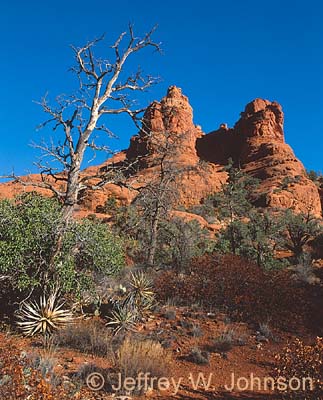 Bell Rock 2