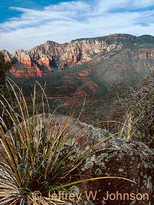Schnebly Road Overlook 2