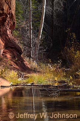 West Fork Reflection 1