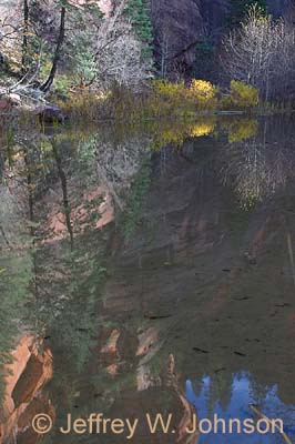West Fork Reflection 2