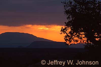 Little Cut Sunrise