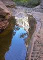 Canyon Reflection 7398