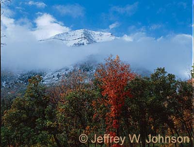 Sundance Fall 1