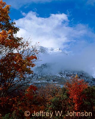 Sundance Fall 2