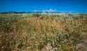 Teton Meadow 2 08 2002 35