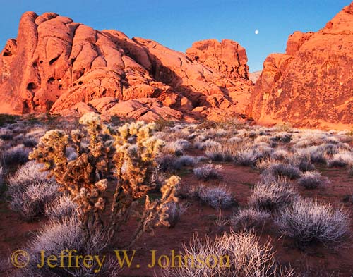 Valley of Fire 1804 blend