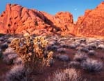 Valley of Fire 1804 blend