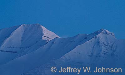 Timp Morning