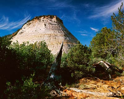 Zion Checkerboard Mesa 0601