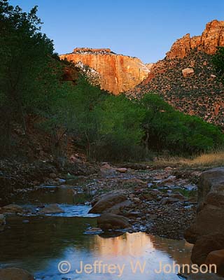 Zion Pine Canyon NS 0401