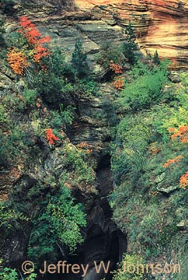 Zion Echo Canyon