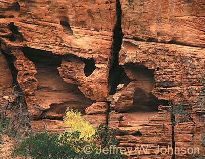 Zion Echo Holes In Cliff