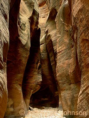 Zion Echo Slot NS 1098
