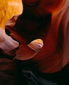 Lower Antelope